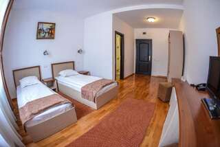 Отель Hotel Posada Рымнику-Вылча Двухместный номер с 1 кроватью или 2 отдельными кроватями-5