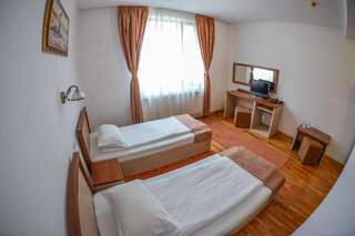 Отель Hotel Posada Рымнику-Вылча Двухместный номер с 1 кроватью или 2 отдельными кроватями-12